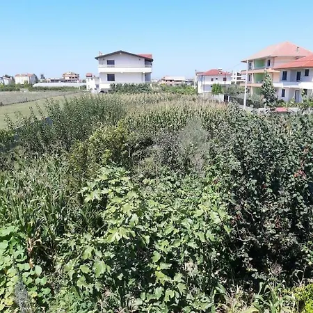 Green Villa Apartment *