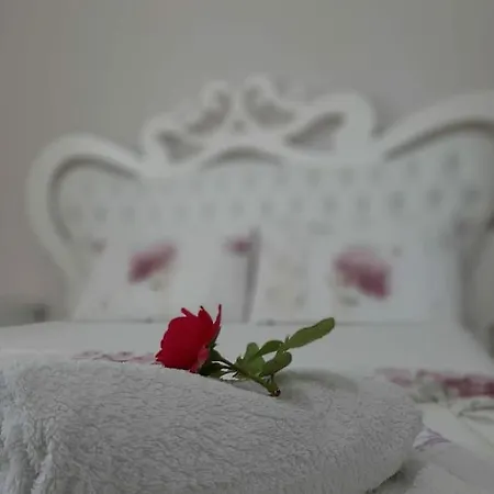 Green Villa Durres