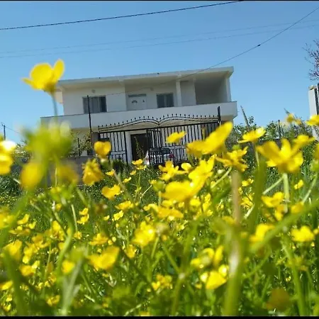Апартаменты Green Villa *